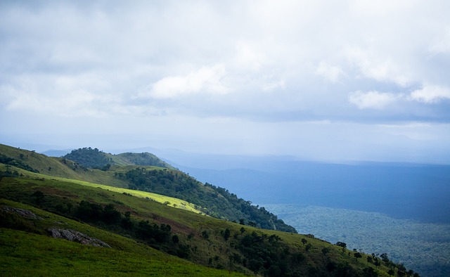 山东泰山