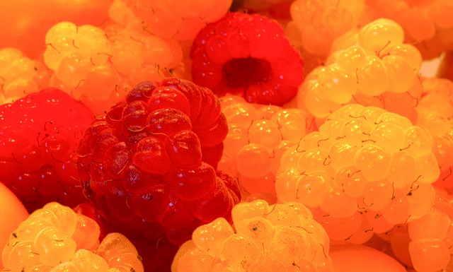 另一种依靠 另一种依靠