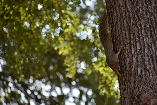 评价的重要 评价的重要