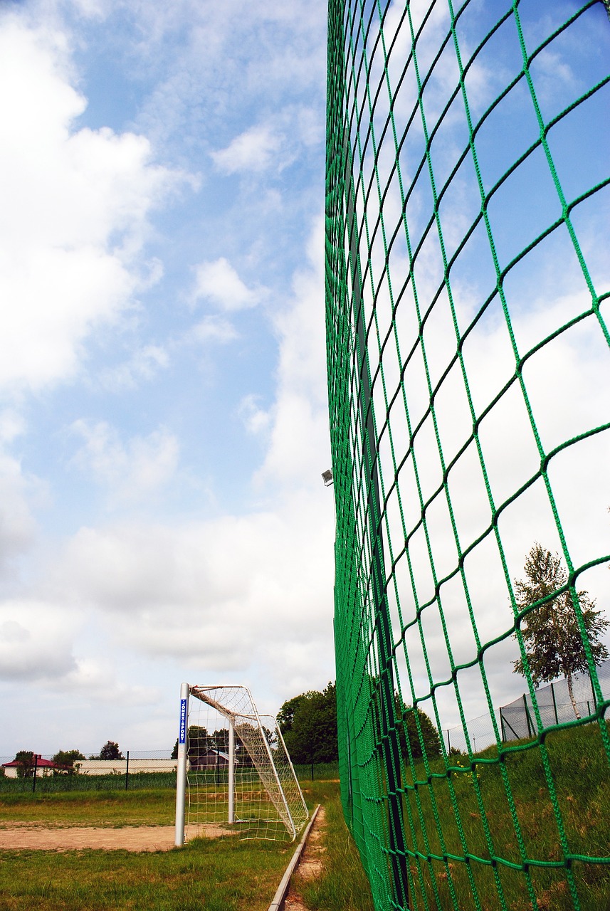 上展现出非 上展现出非