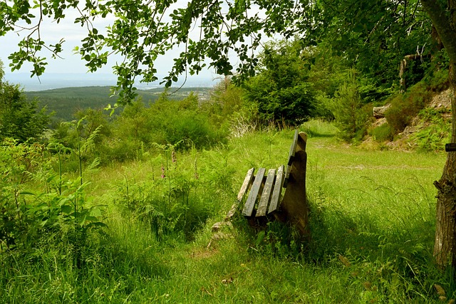穆夏拉为何 穆夏拉为何