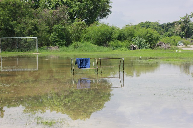 跻身队内薪 跻身队内薪