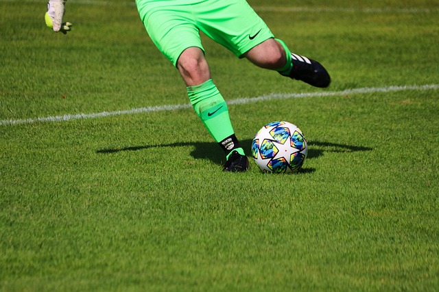 新援的引入 新援的引入